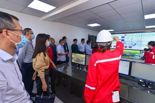 集團(tuán)公司2021年度技術(shù)專家咨詢會(huì)診活動(dòng)圓滿結(jié)束